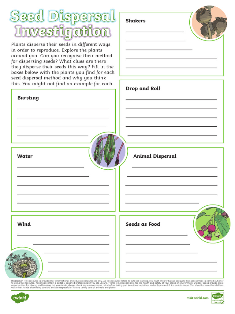 T SC 1716213208 Seed Dispersal Investigation Worksheet Ver 1 | PDF | Seed