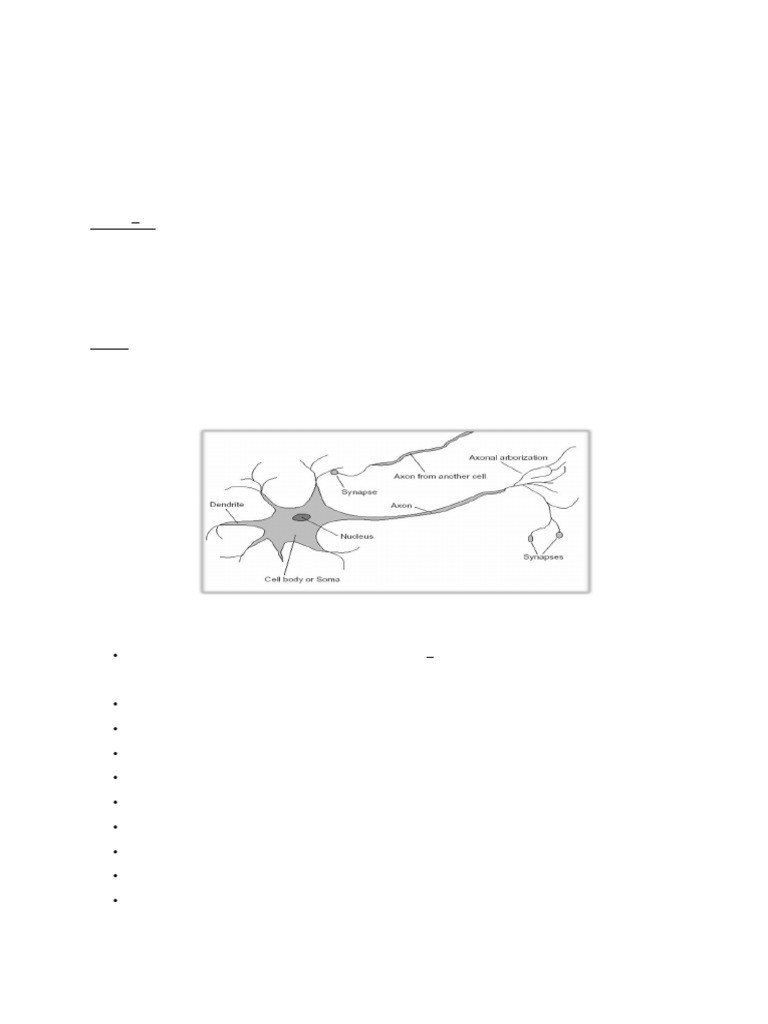 Neural Networks: Neuron Models Explained | PDF | Neuron | Biology