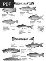 Khb Pertanian Ting 2 Ternakan Ikan Air Tawar No Frame Pdf
