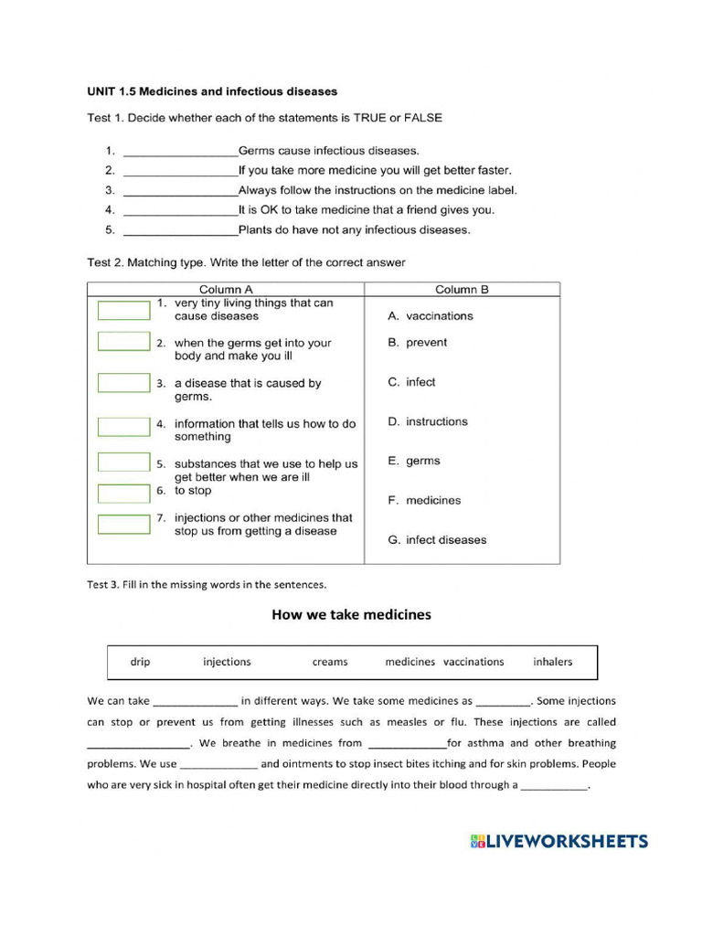 Worksheet 1456553 | PDF