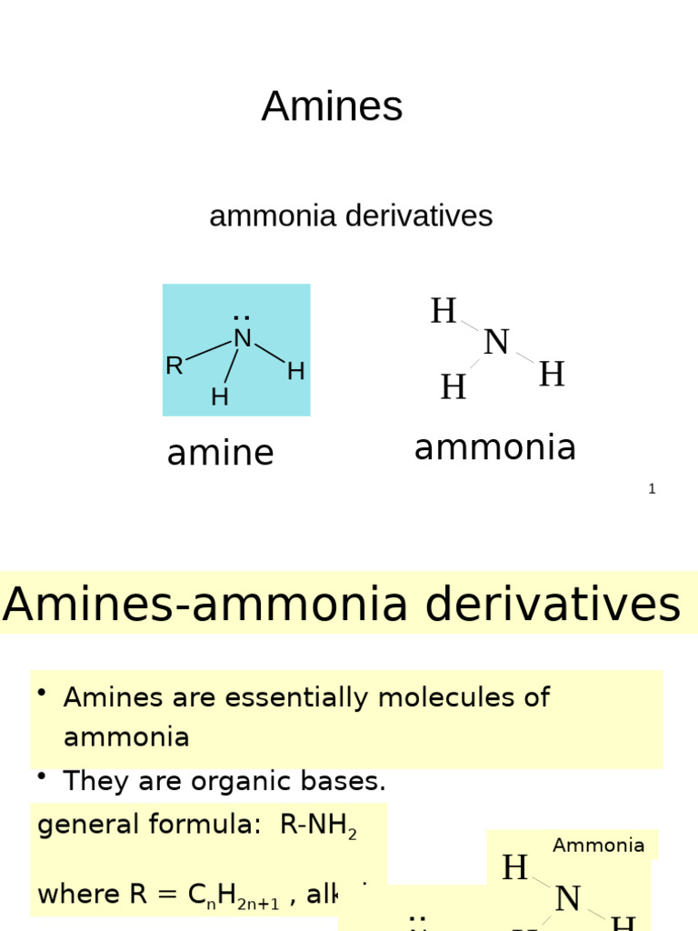 Understanding Amines: Structure and Properties | PDF | Amine | Ammonium