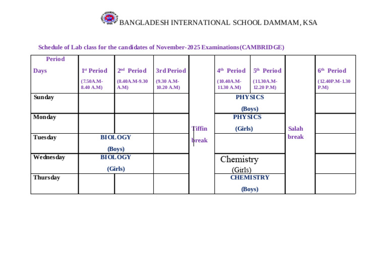 Lab Class Schedule for Nov 2025 Exams | PDF