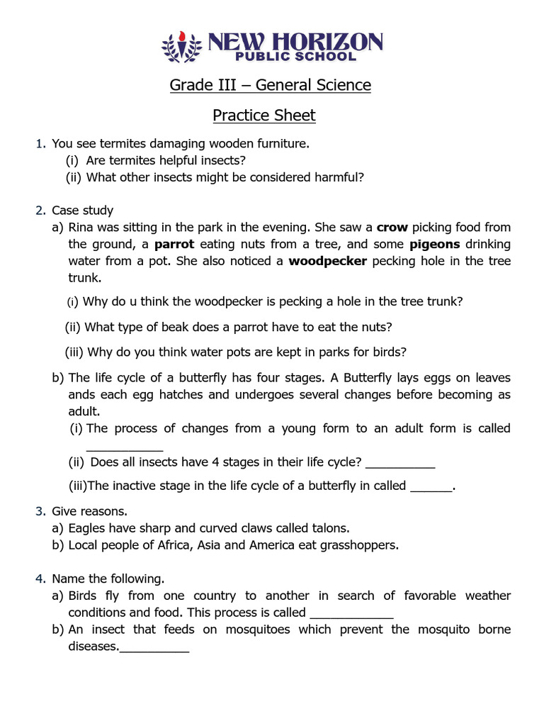 Grade III - Science Practice Sheet | PDF