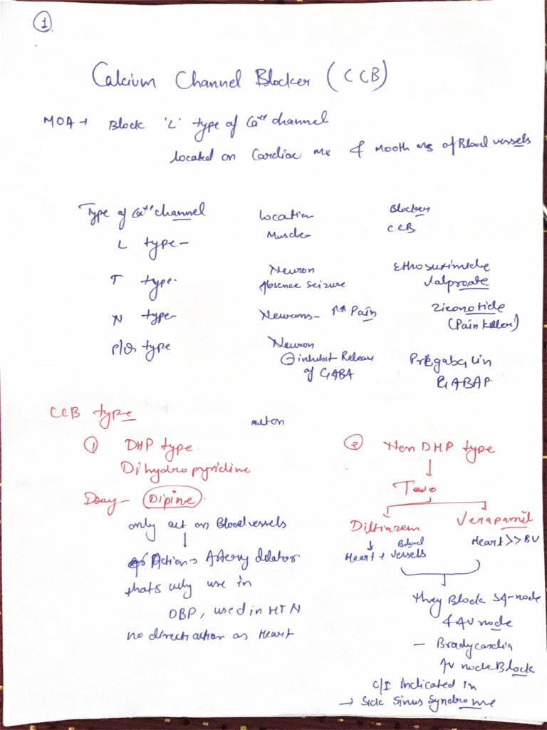 CCB Pharmacology | PDF