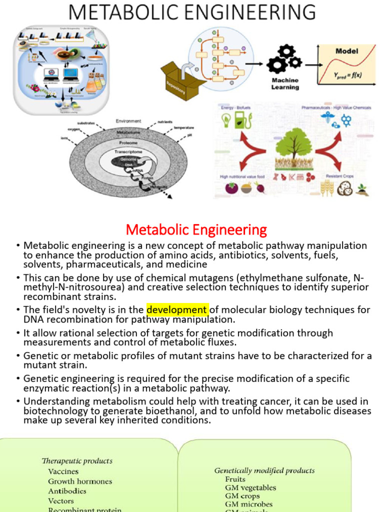 Metabolic Engineering and DNA Technology | PDF | Operon | Metabolism