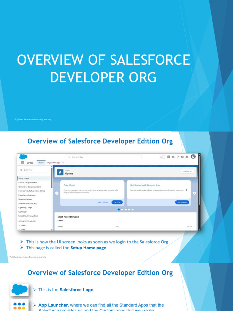 Overview of Salesforce Developer Org 1748706707 | PDF | Icon (Computing ...