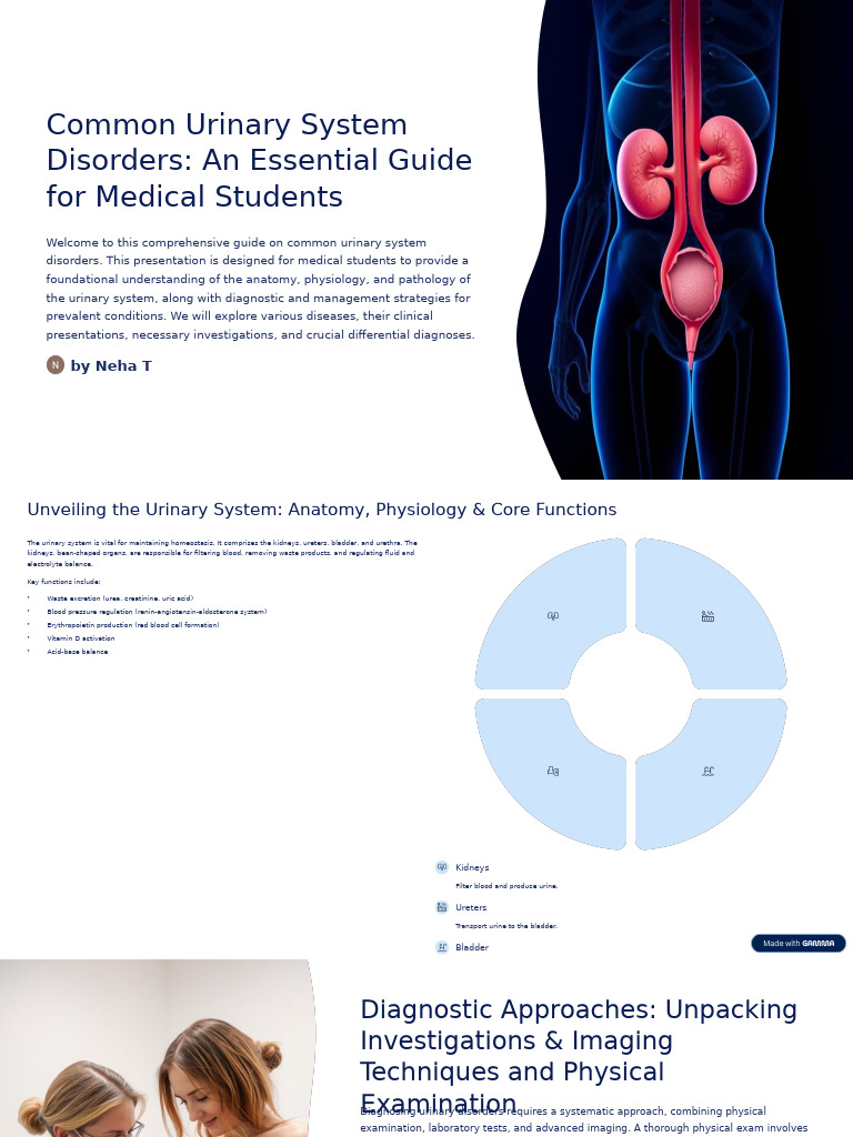 Essential Guide to Urinary Disorders | PDF | Kidney | Kidney Disease
