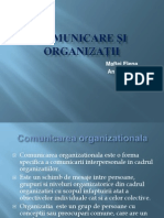 Comunicare Și Organizații PPP