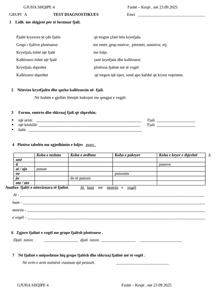 Det Gjuhe Test Diagnost. 3B | PDF
