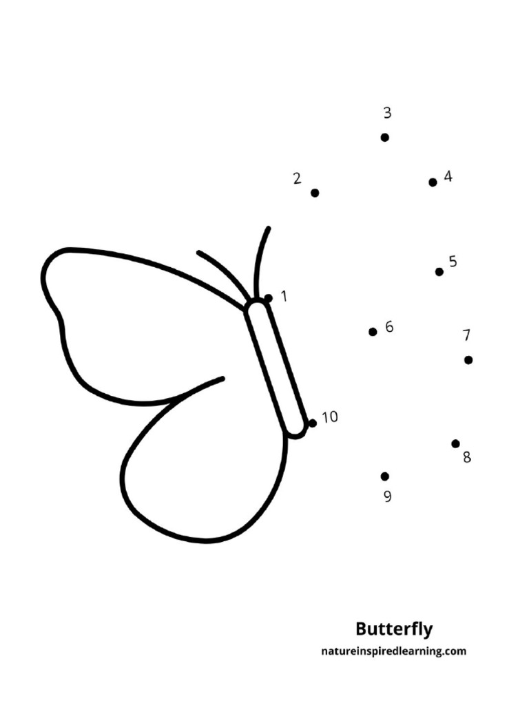 Butterfly | PDF
