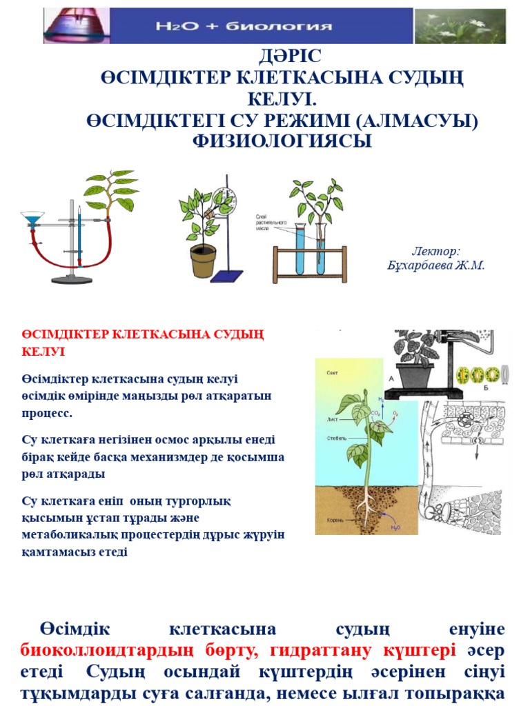 Сексуалды көркем гимнастика созылу