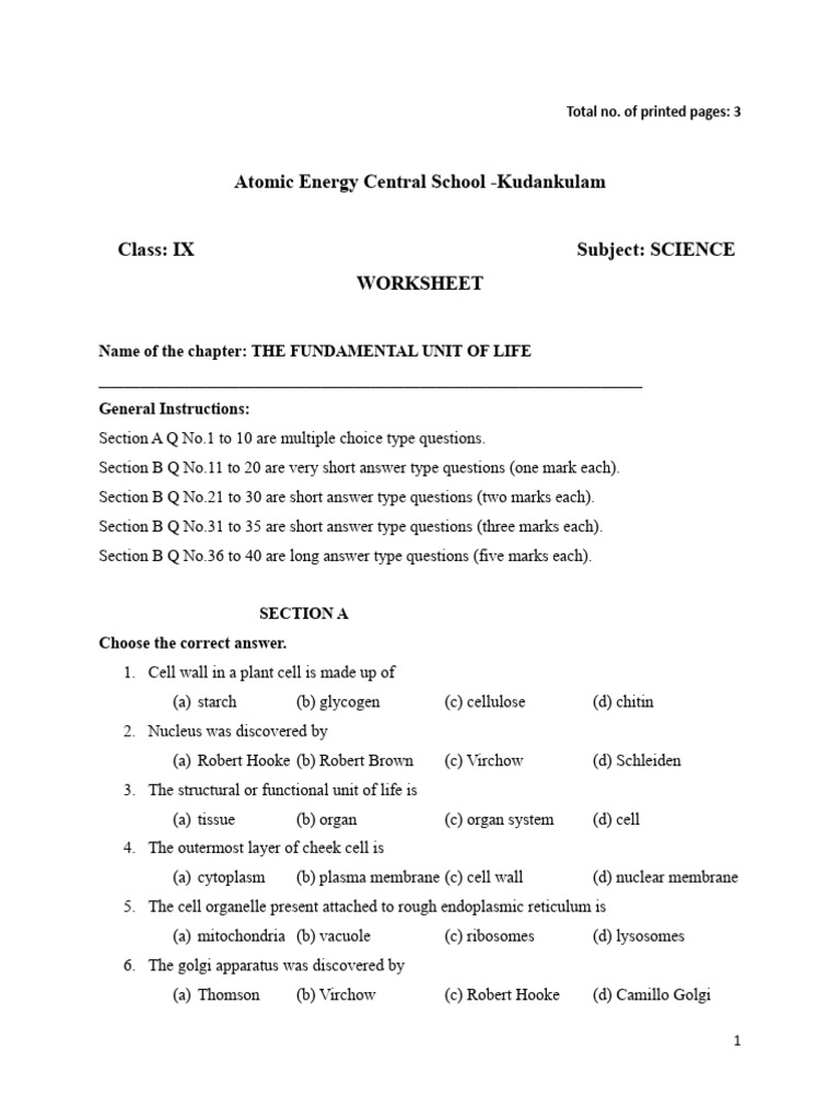 Class IX Science Worksheet on Cells | PDF | Cell (Biology) | Organelle