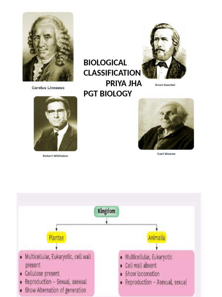 Biological Classification Summary | PDF | Plants | Organisms