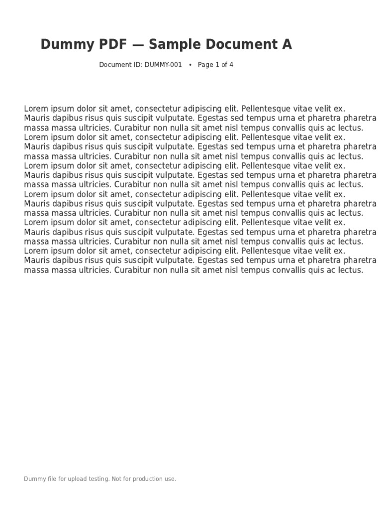 Dummy Document for Testing | PDF