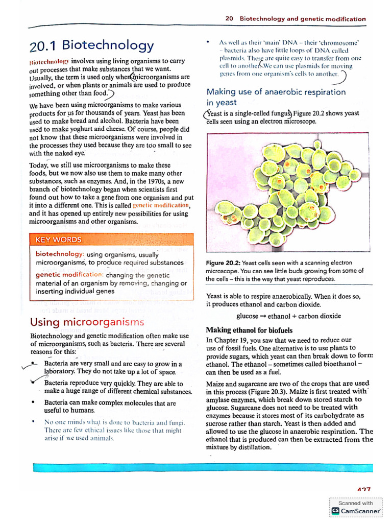 Biotechnology | PDF