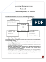 29563678 Organizacao Industrial Higiene Seguranca e Saude No Trabalho