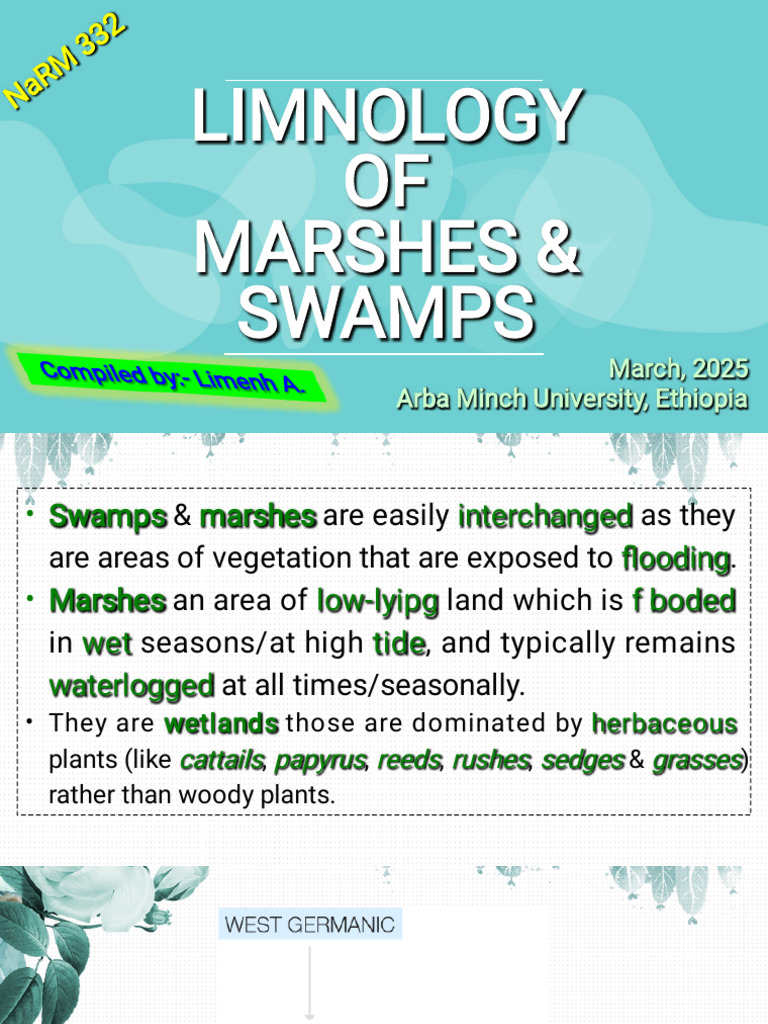 Limnology of Marshes & Swamps | PDF | Swamp | Marsh