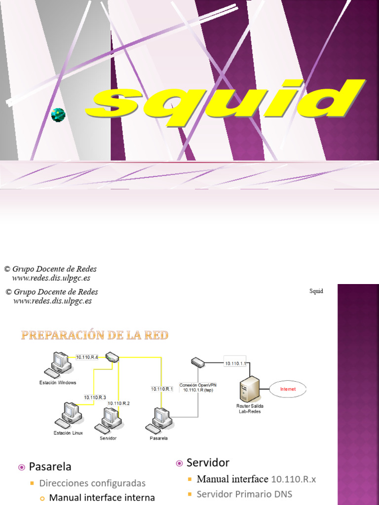 Configuración y Uso de Squid como Proxy | PDF | Servidor proxy ...