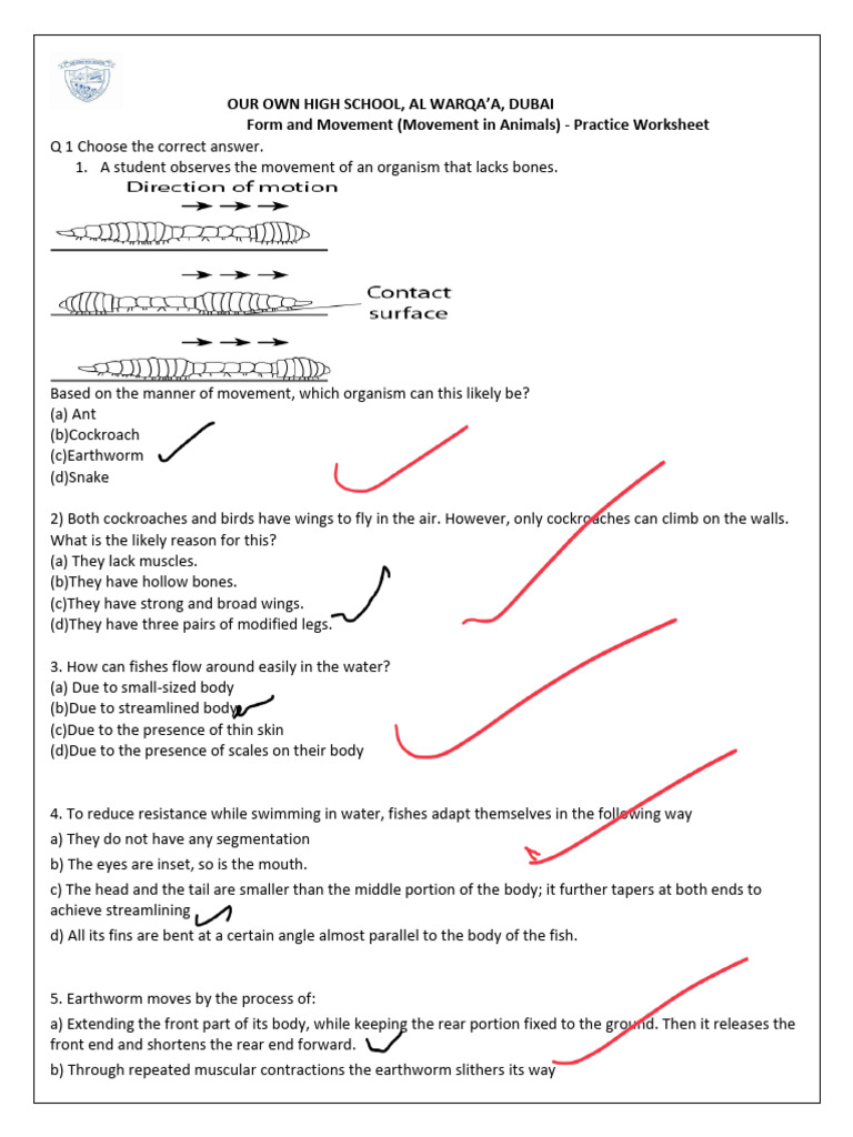 Science Revision Forms and Movements-1 | PDF | Fish | Zoology