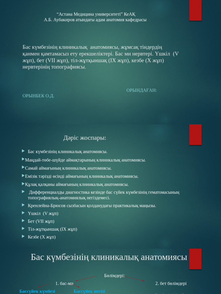 Олар анальді жопаға үлкен тығынды енгізеді