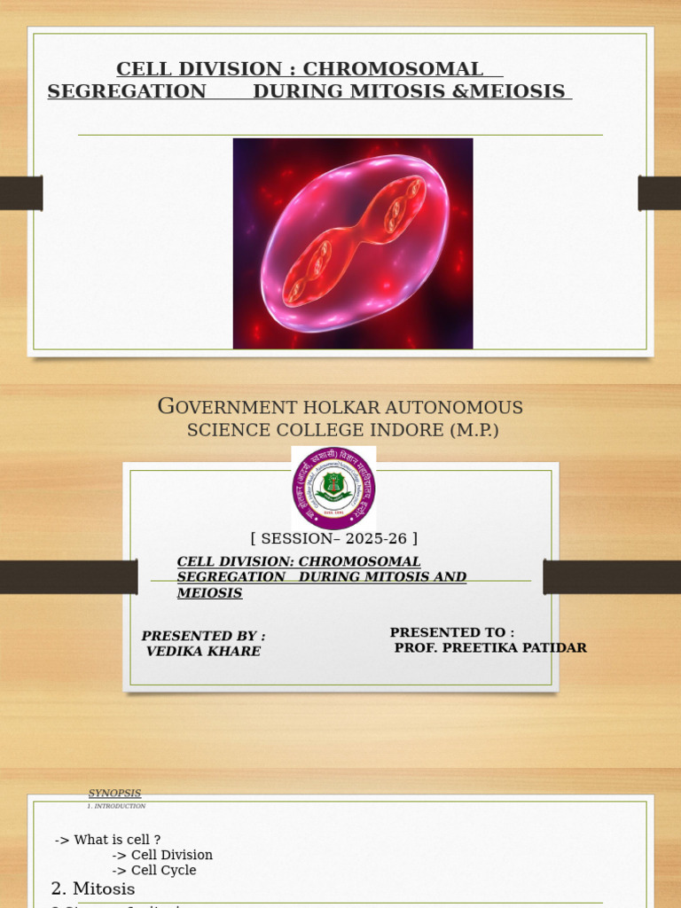 Cell Division Paper - 2 Final ...