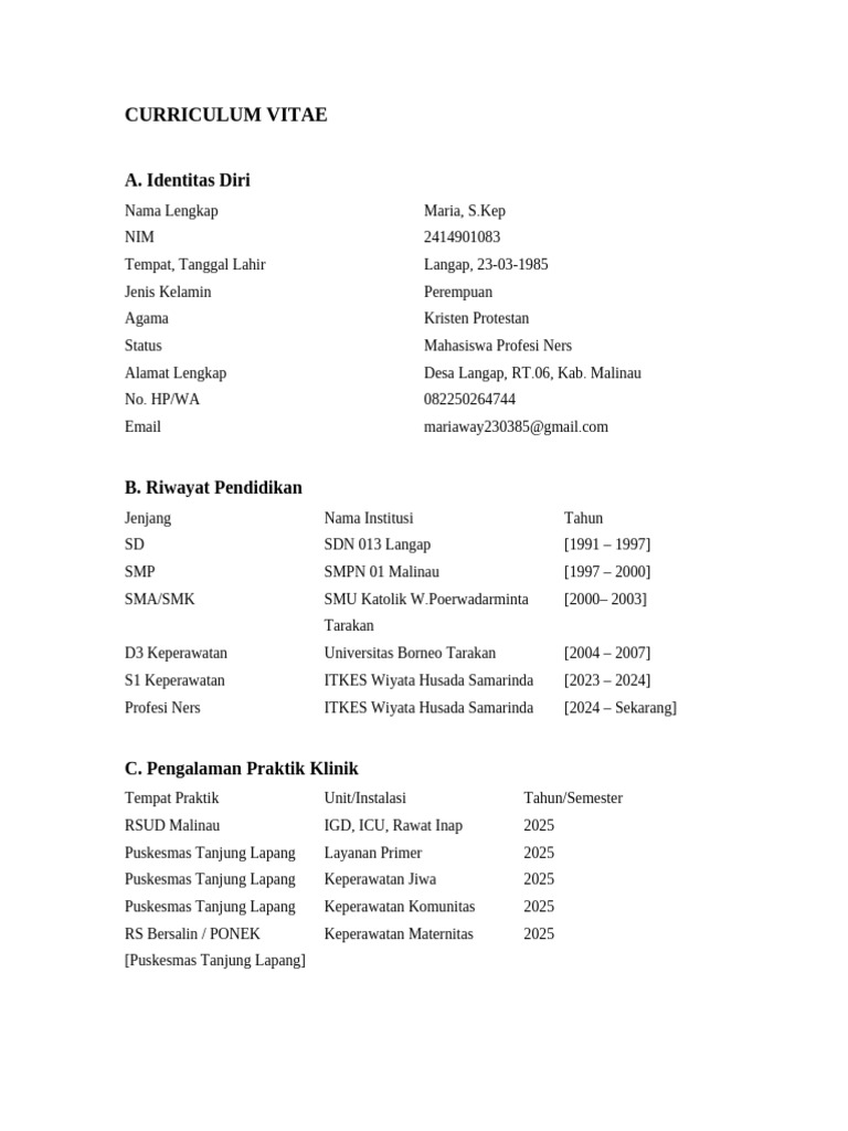 CV Lampiran Karya Ilmiah Ners-2 | PDF