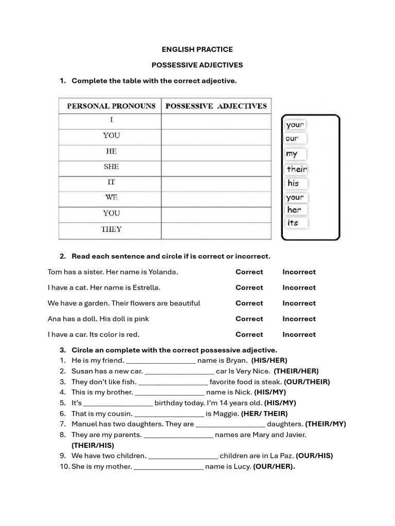 Possessive Adjectives Practice Exercise | PDF