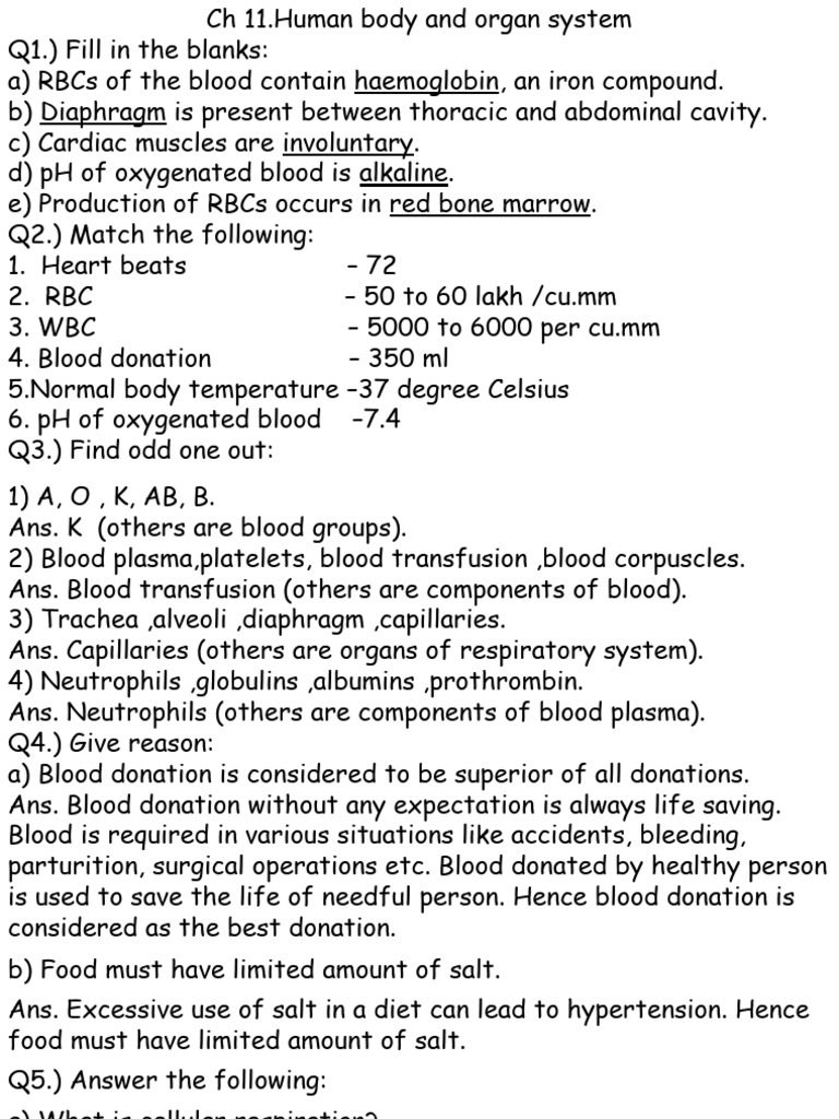 Human Body and Organ System Notes | PDF | Blood | Red Blood Cell