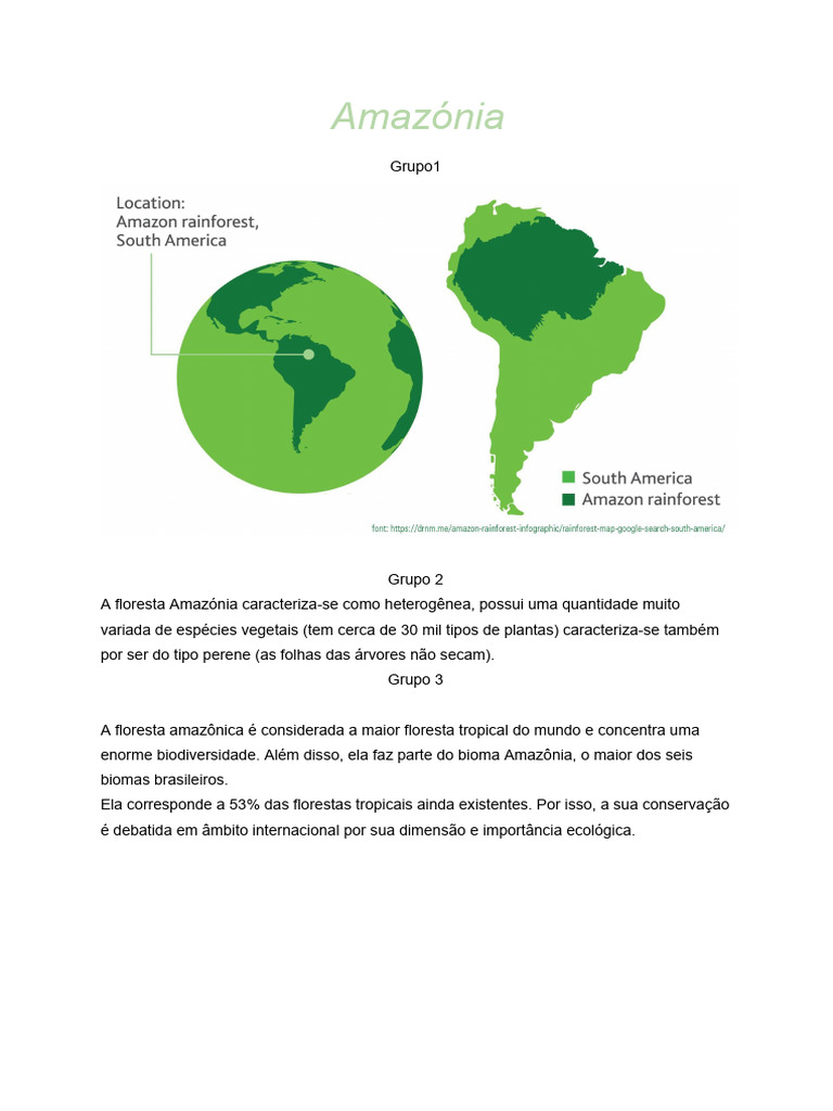 Importância da Floresta Amazônica | PDF