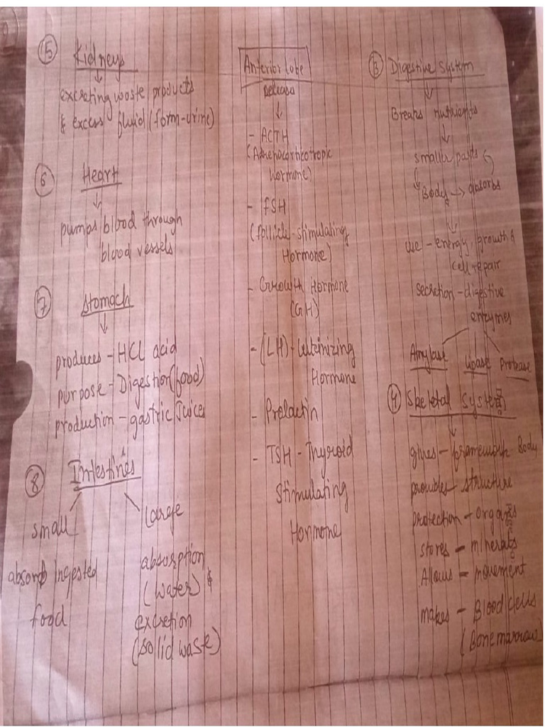 Chart 2 | PDF