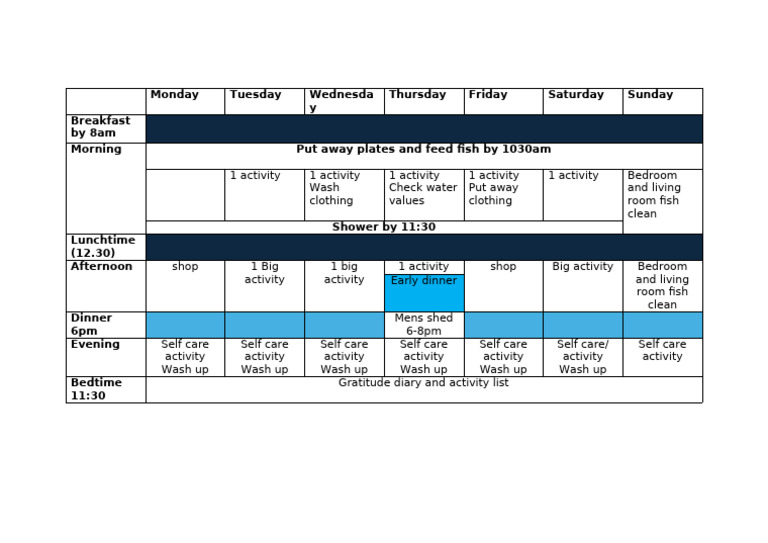 Weekly Routine and Self-Care Schedule | PDF