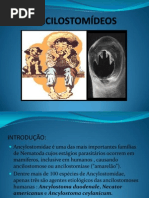 ANCILOSTOMÍDEOS