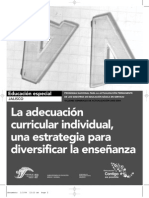 Adecuaciones Curriculares