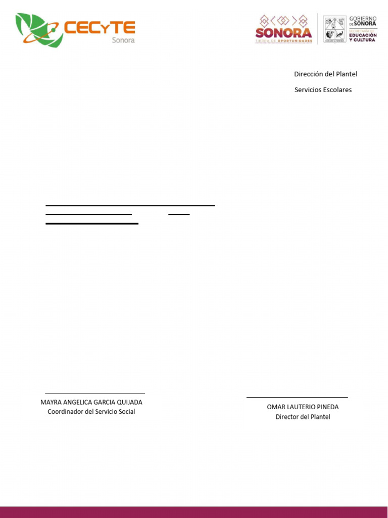 Formatos Servicio Social | PDF