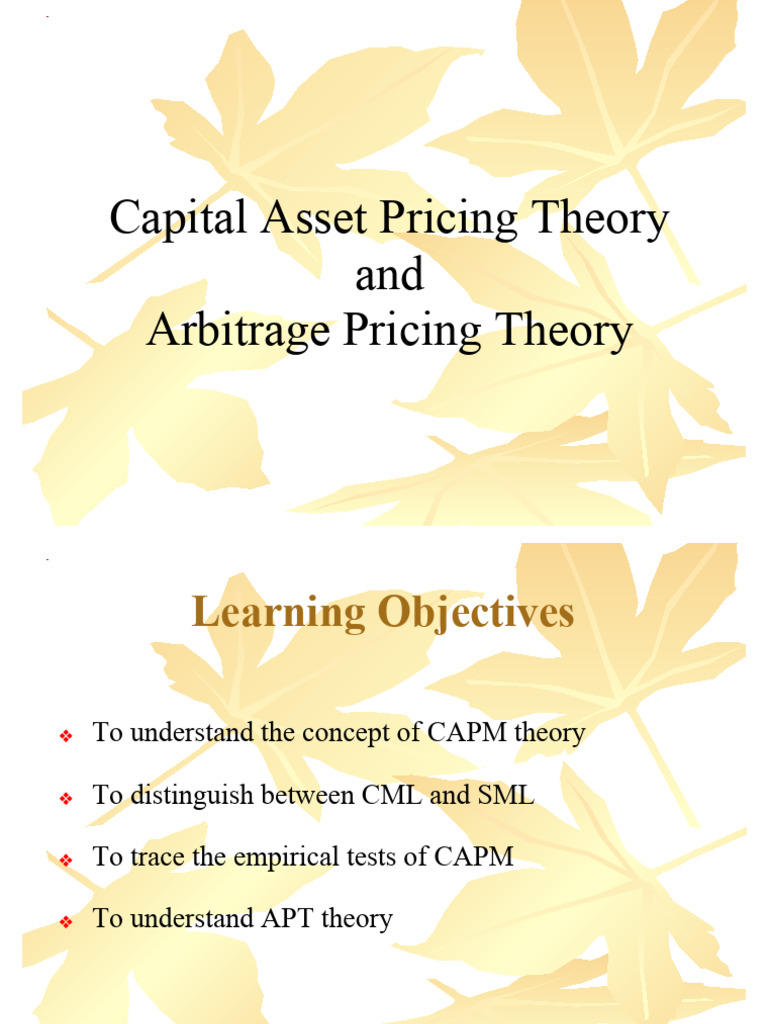 Capital Asset Pricing Theory PDF | PDF | Capital Asset Pricing Model ...
