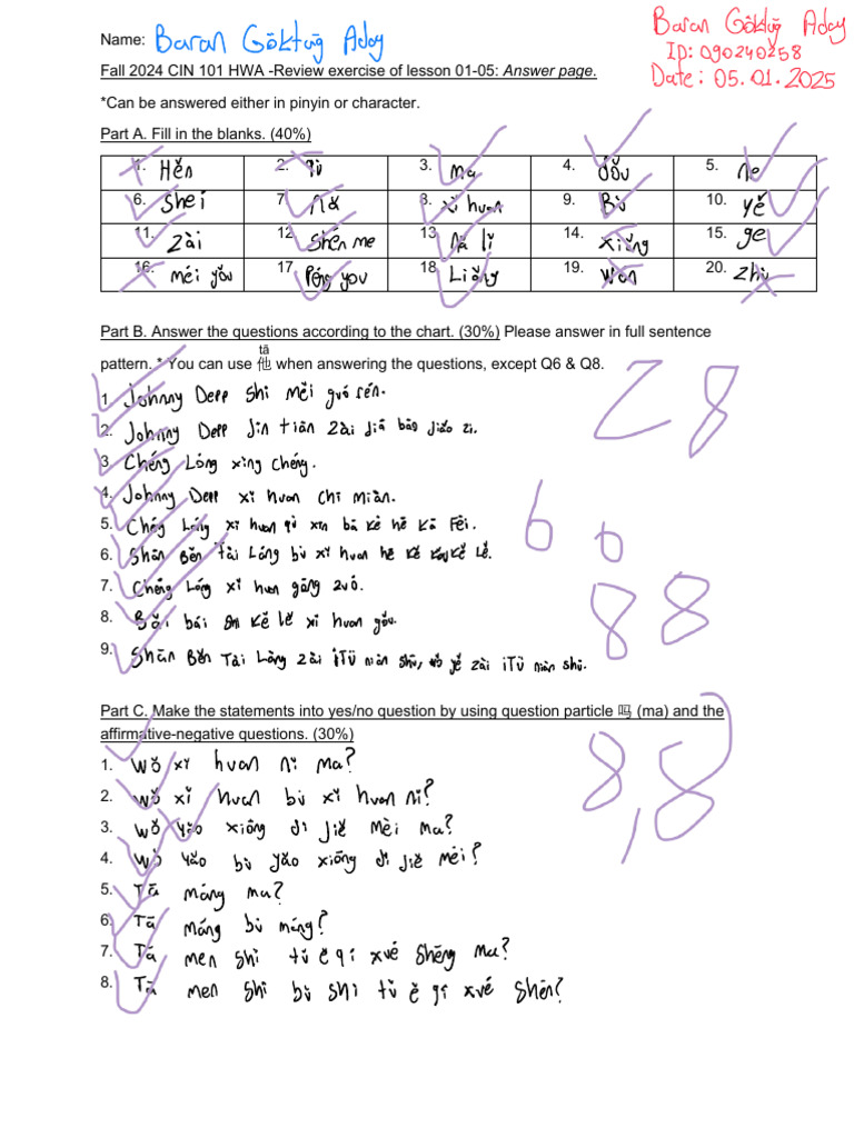 Chinese Homework | PDF