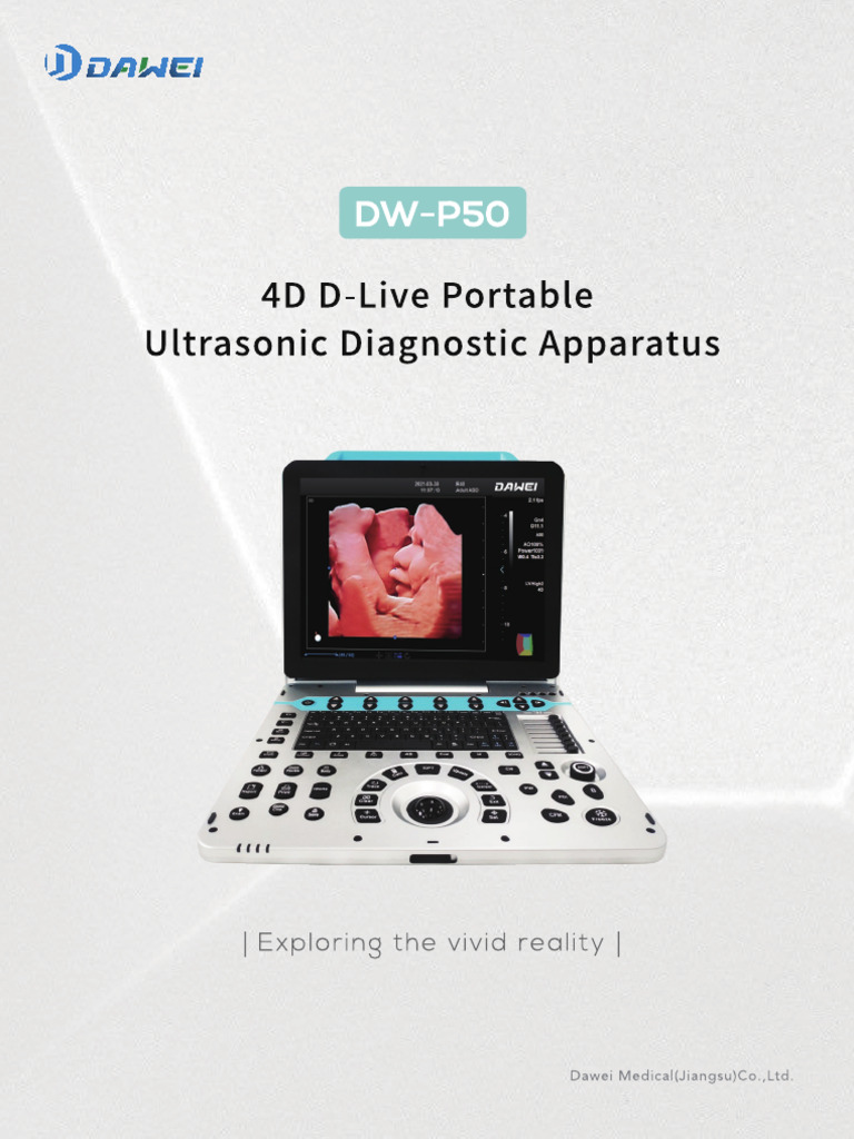 3.0S DW-P50 Brochure - Dawei | PDF