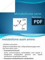 Metabolisme Serin