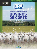 Manual de Bpa Nacional