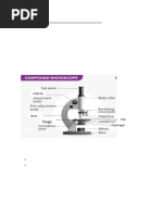 Labeled Diagram of a Compound Microscope | PDF