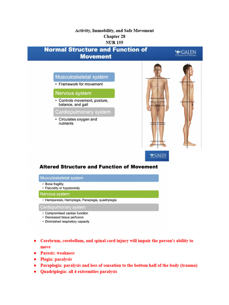 Effects of Immobility on Movement and Health | PDF | Human ...