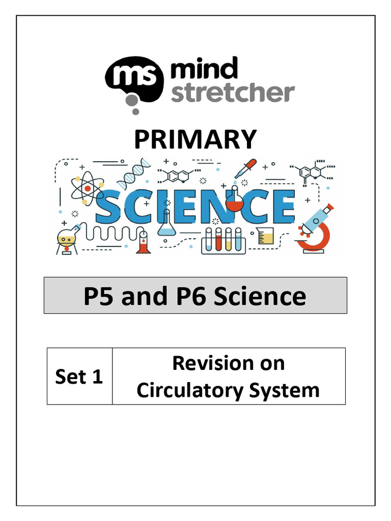 P5 and P6 Science Set 1 - Circulatory System ANSWERS | PDF | Blood ...