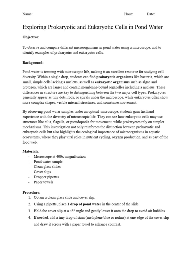 Exploring+Prokaryotic+and+Eukaryotic+Cells+Lab+ (9 23) | PDF | Cell ...