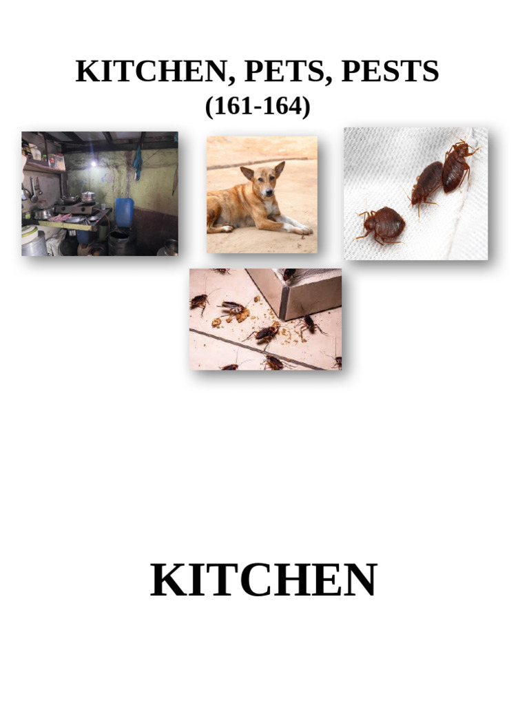 161-164 Kitchen, Pets and Pests or Infestations | PDF | Ventilation ...