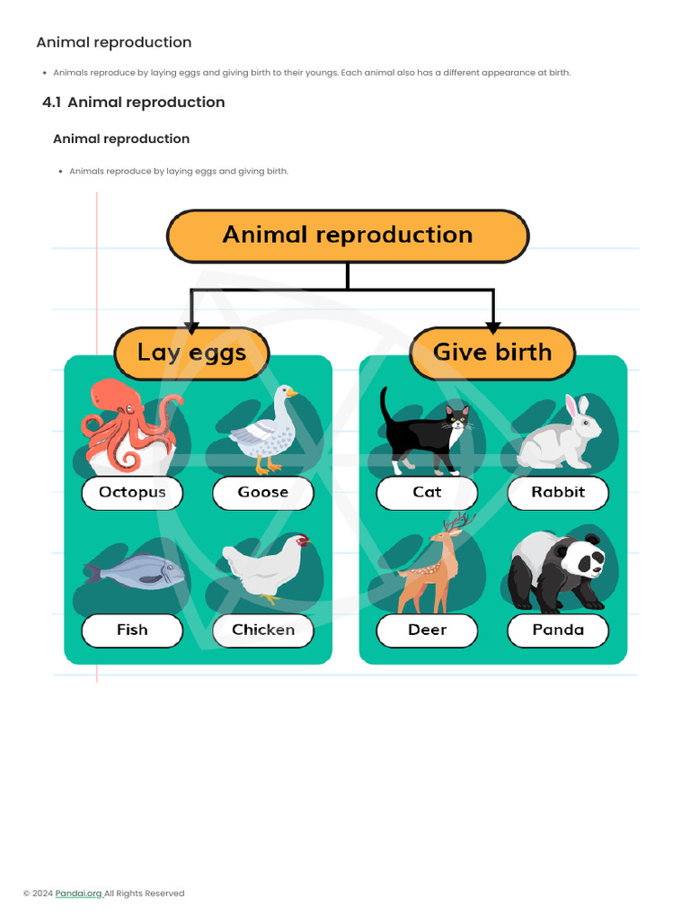 Animal Reproduction: Eggs and Birth | PDF