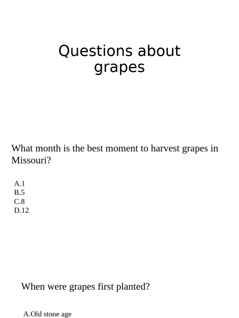 Questions About Grapes | PDF