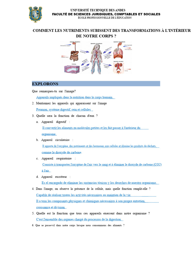 Transformation des nutriments dans le corps PDF Tractus gastro — free download