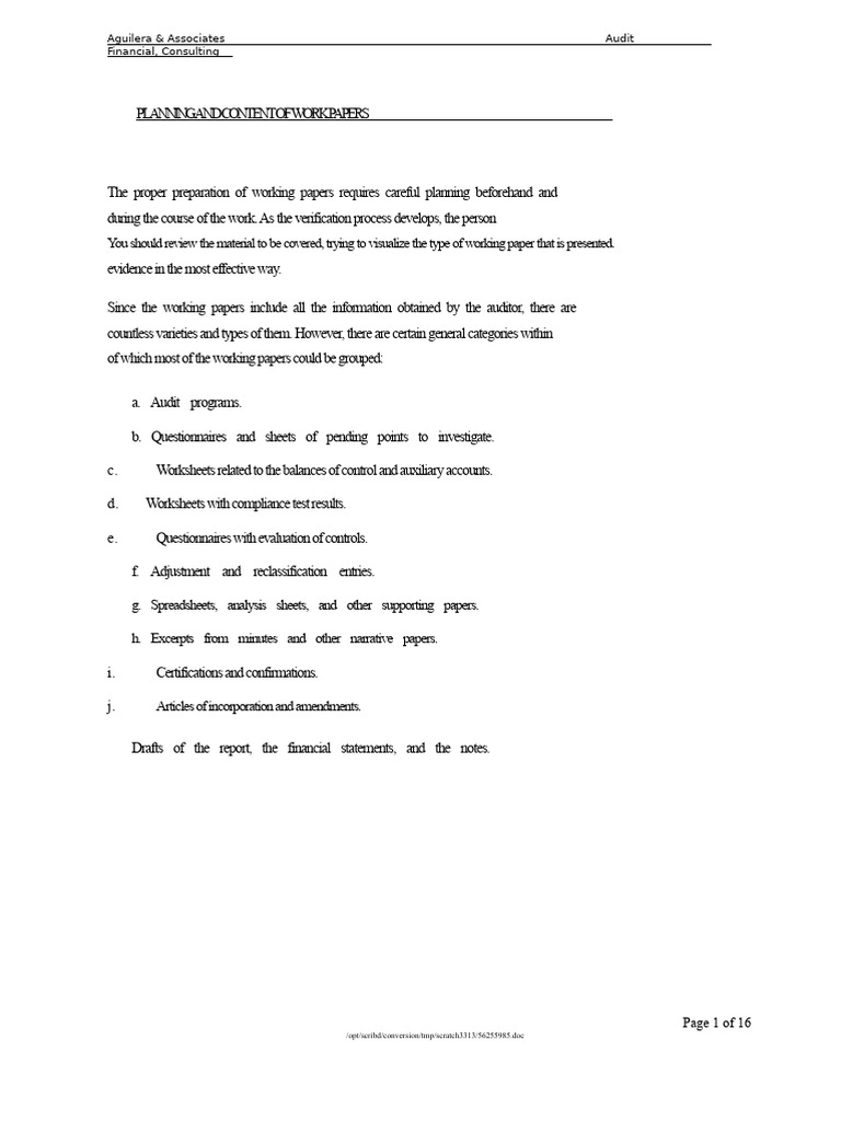 Essential Guide to Audit Work Papers | PDF | Audit | Business Economics