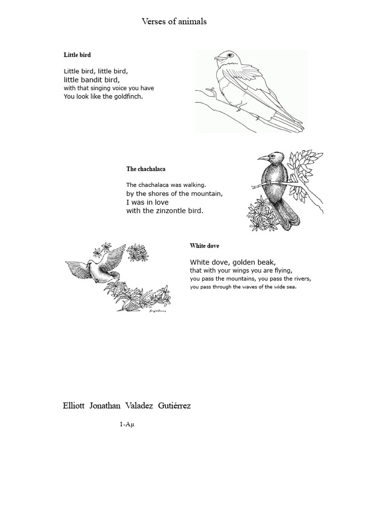 Animal Verses and Poetry | PDF
