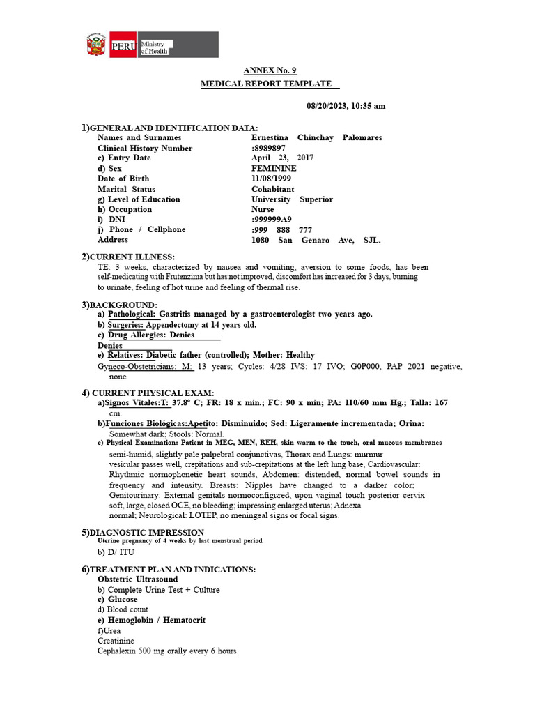 Medical Report for Pregnancy Case | PDF | Pregnancy | Urinary Tract ...